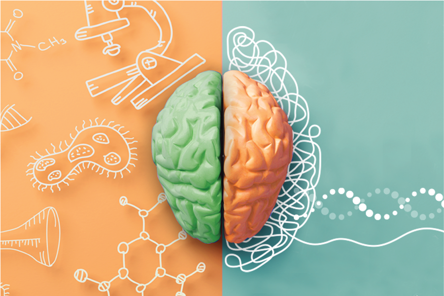 Genetica în Neuropsihiatrie